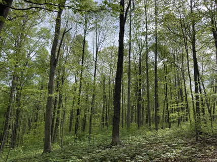 $1,320,000 | 2 Greenbriar Road, Franklin, TN 37064