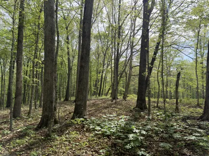 $1,320,000 | 2 Greenbriar Road, Franklin, TN 37064