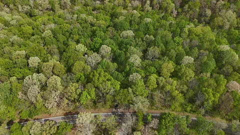 $1,320,000 | 2 Greenbriar Road, Franklin, TN 37064