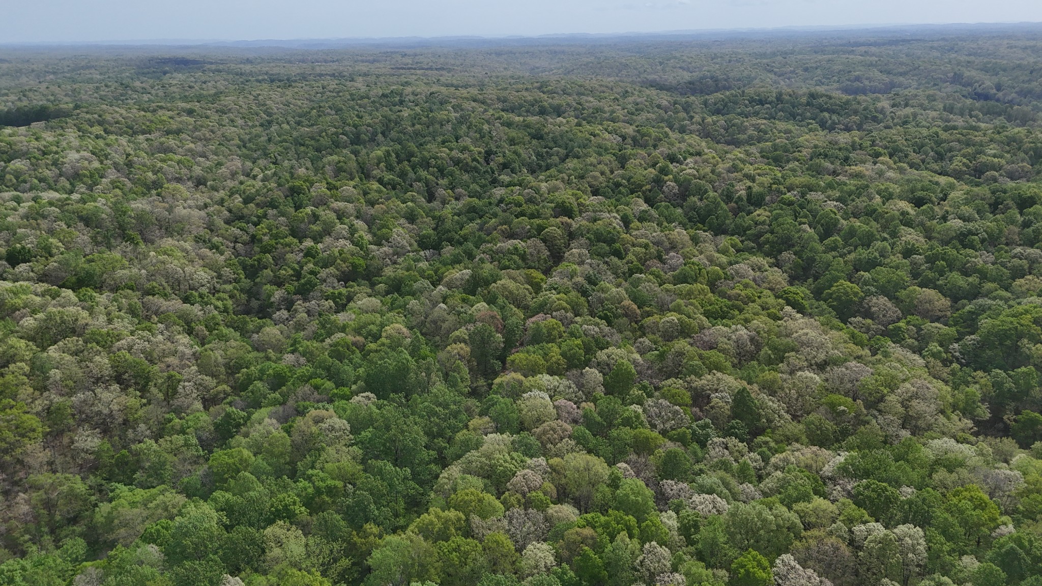 2 Greenbriar Road Franklin, TN 37064 - Photo 9 of 15