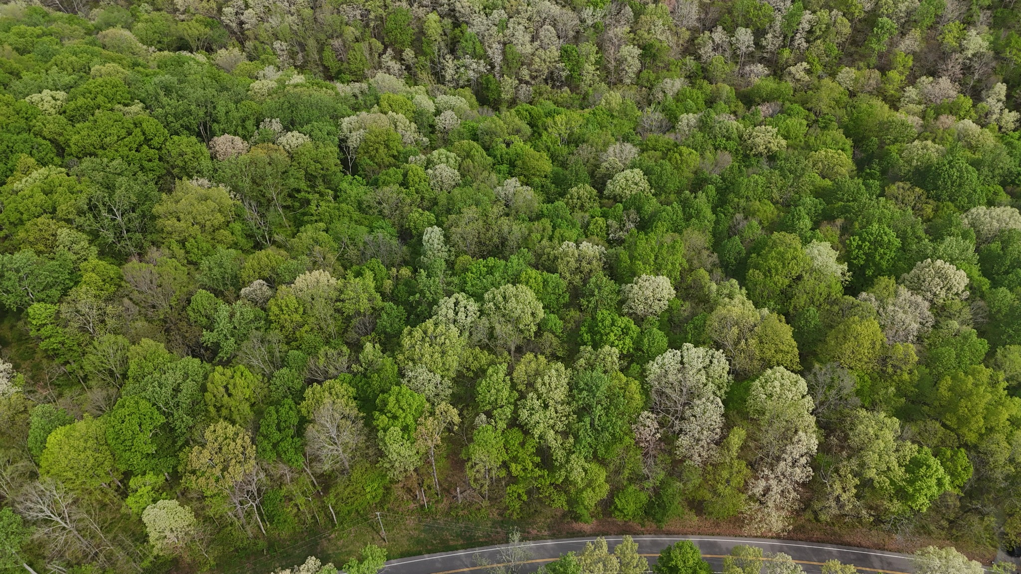 2 Greenbriar Road Franklin, TN 37064 - Photo 10 of 15