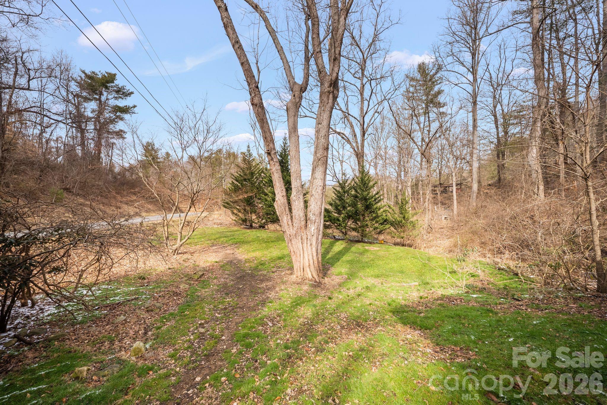 20 McDaris Road Weaverville, NC 28787 - Photo 7 of 15 a view of yard with large trees