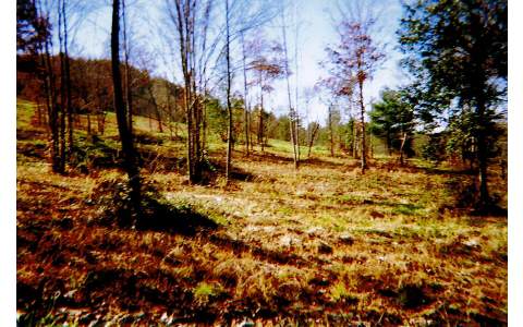 Lot 7 Rabbit Field Ridge Blairsville, GA 30512 - Photo 1 of 1 Main View