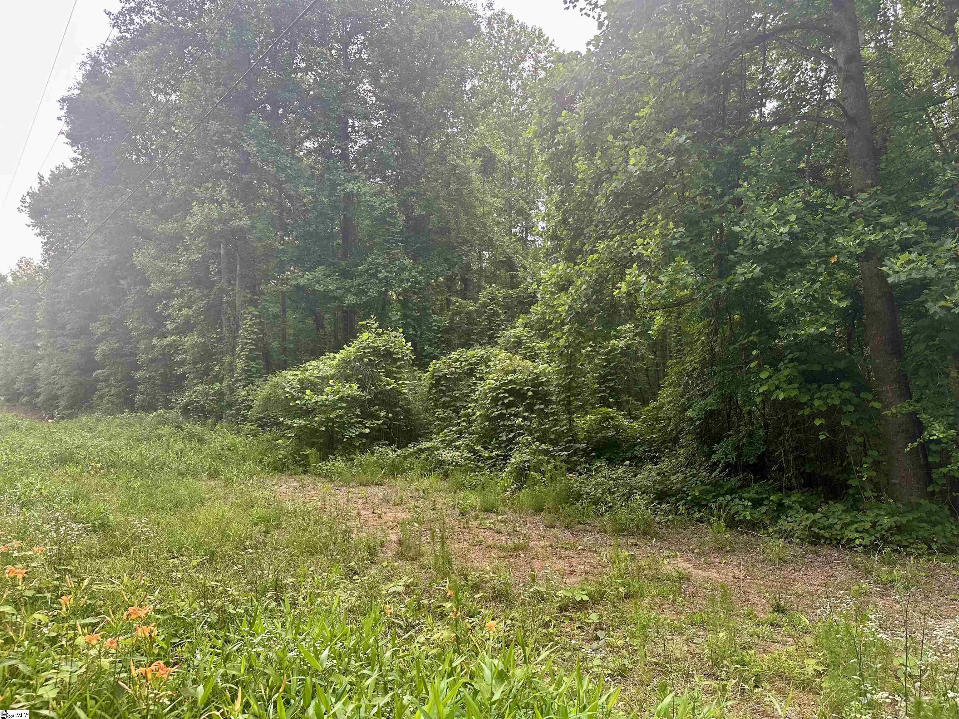 0 Dacusville Road Marietta, SC 29661 - Photo 3 of 5