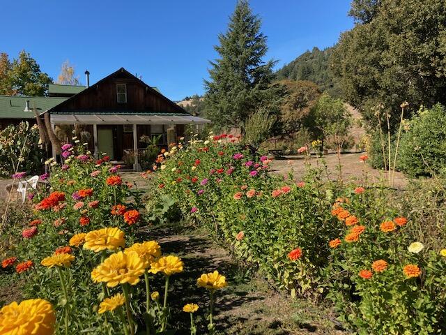 650 Old Hindley Ranch Road Petrolia, CA 95558 - Photo 11 of 61