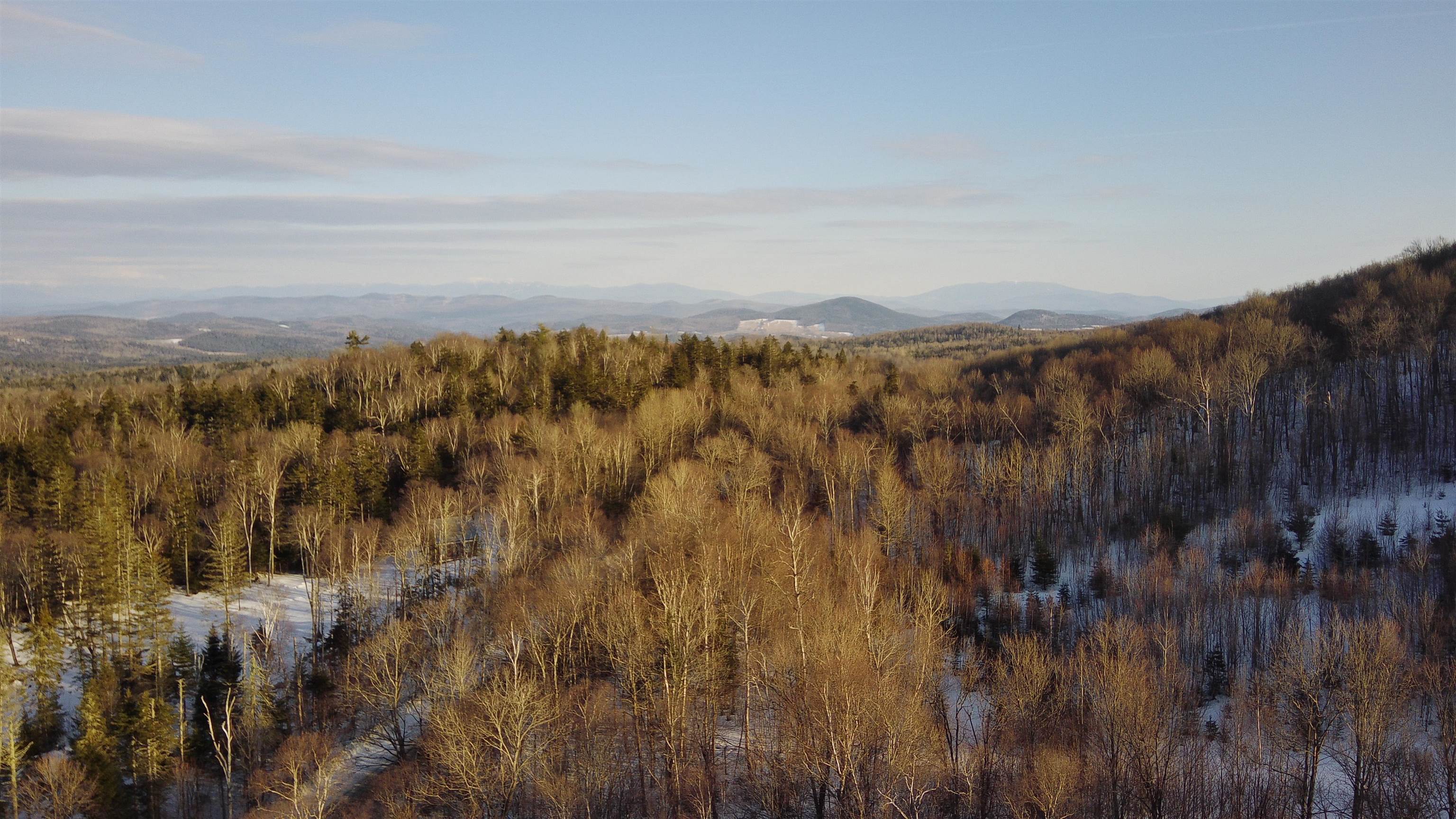 339 Macks Mountain Road Peacham, VT 05658 - Photo 39 of 54