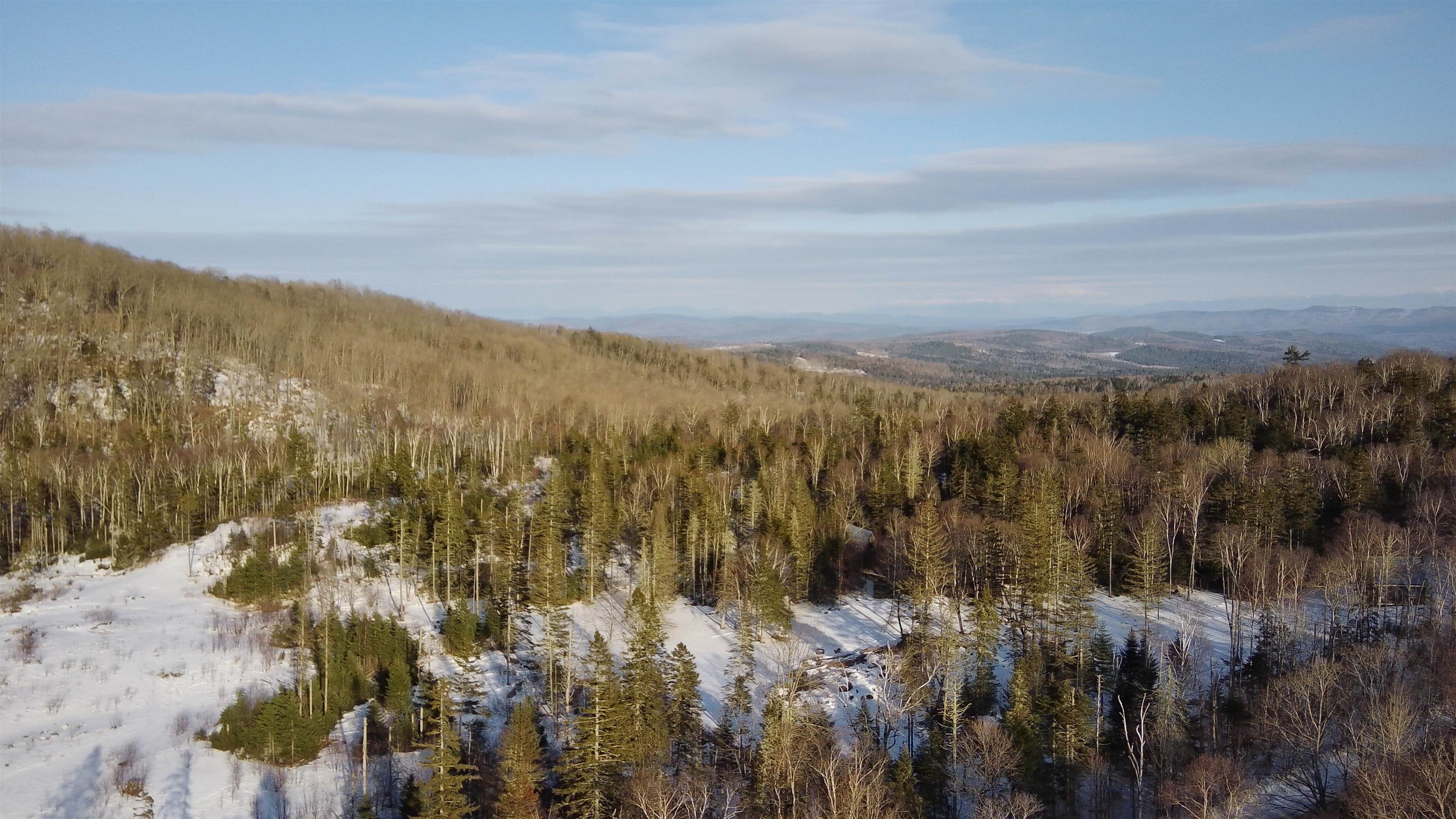 339 Macks Mountain Road Peacham, VT 05658 - Photo 40 of 54
