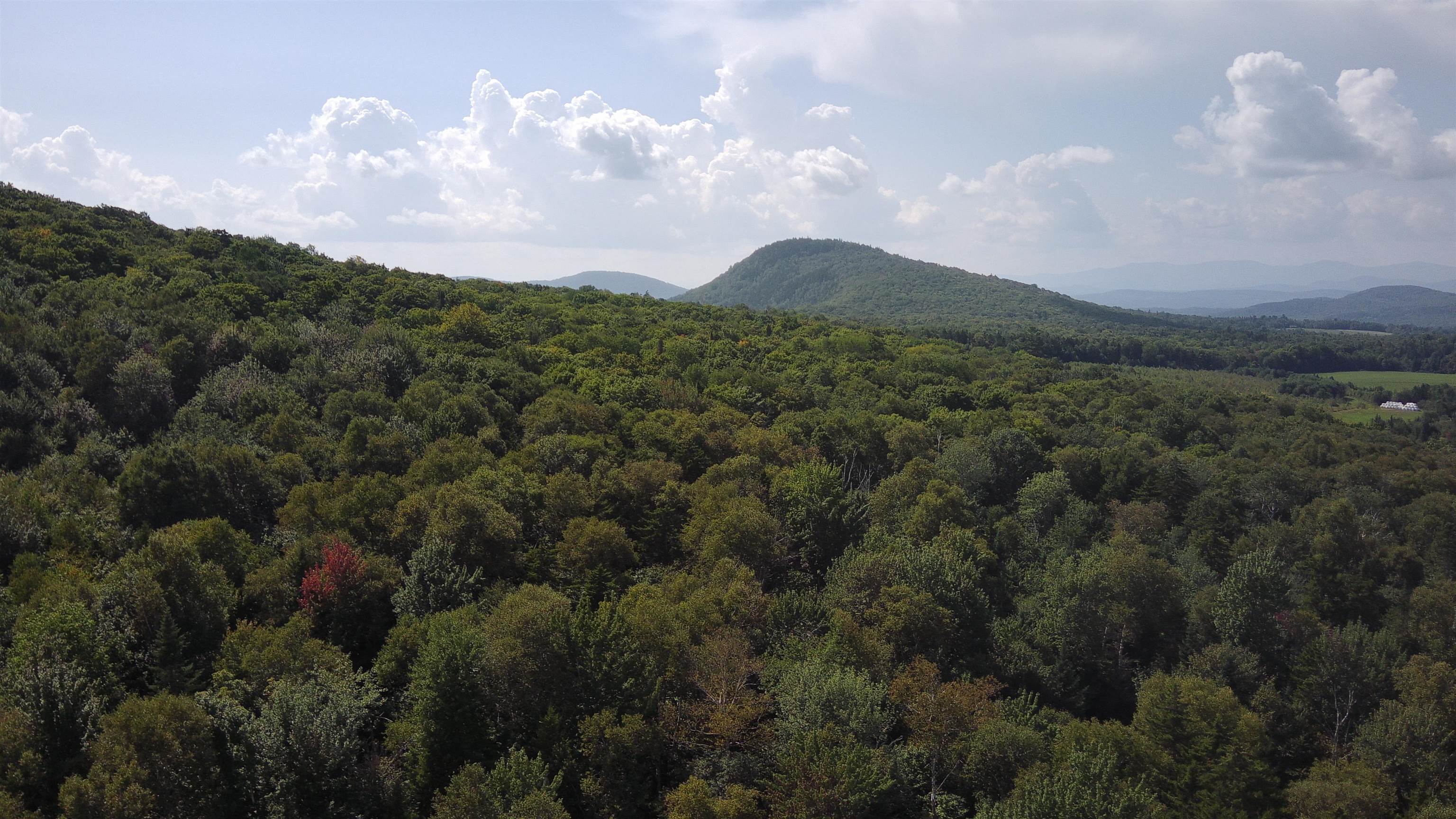 339 Macks Mountain Road Peacham, VT 05658 - Photo 50 of 54
