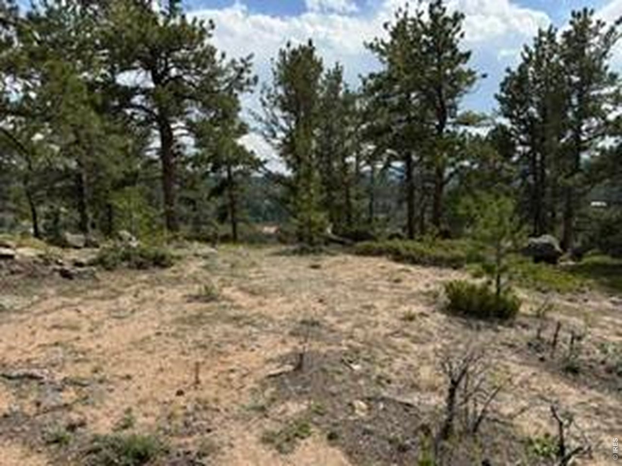 191 Cimarron Road Red Feather Lakes, CO 80545 - Photo 17 of 22 Gallery Image 17