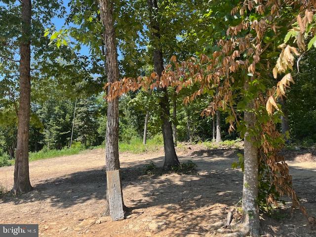 34 Timber Rdg Trail Culpeper, VA 22701 - Photo 5 of 10 a view of a road with a tree