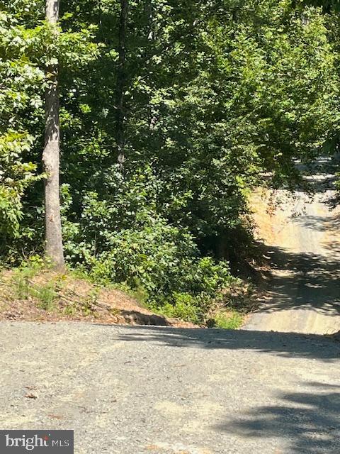 34 Timber Rdg Trail Culpeper, VA 22701 - Photo 6 of 10 a view of yard with wooden fence