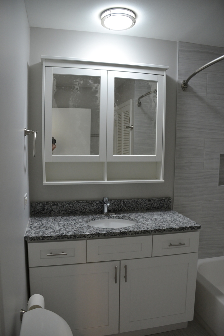 739 Hibbard Road Wilmette, IL 60091 - Photo 12 of 17 a bathroom with a granite countertop toilet sink and mirror