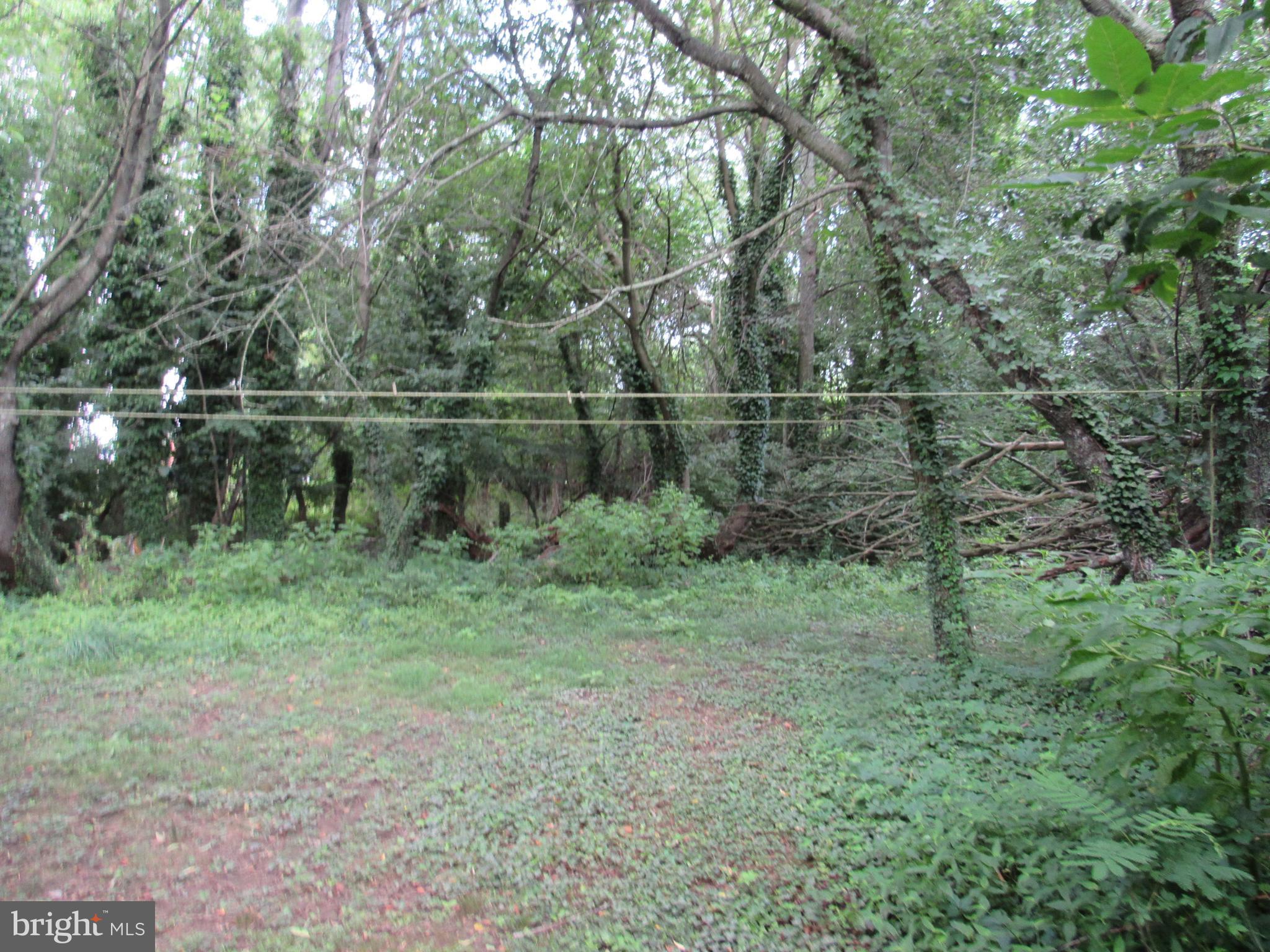 1 South Woodruff Road Bridgeton, NJ 08302 - Photo 7 of 34