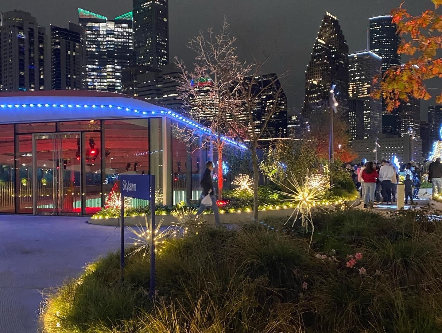 1602 Colorado Street Houston, TX 77007 - Photo 29 of 29 a view of street with lots of trees and plants