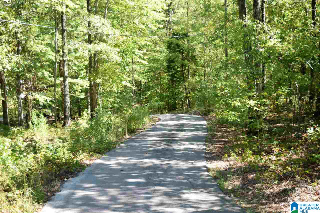 401 Pearl Lake Road Springville, AL 35146 - Photo 5 of 46