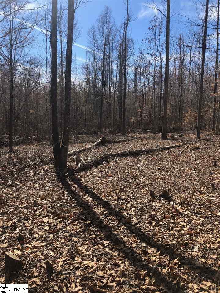 0 Patrol Club Road Greenville, SC 29609 - Photo 1 of 18 Gallery Image 1