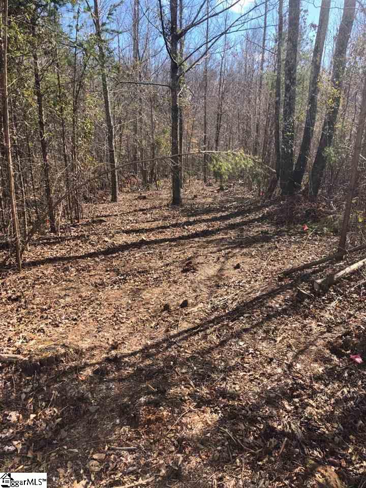0 Patrol Club Road Greenville, SC 29609 - Photo 5 of 18 Gallery Image 5