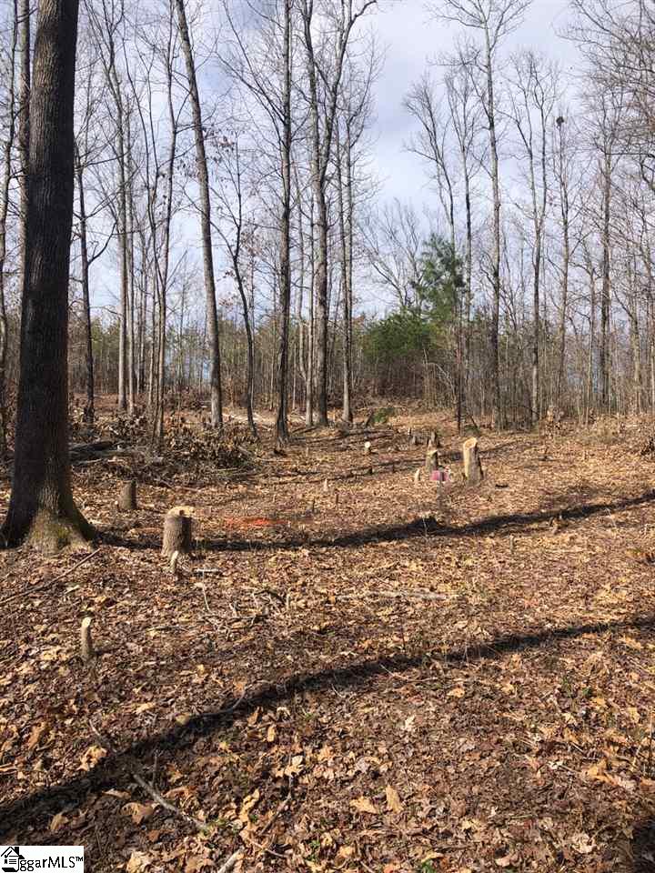 0 Patrol Club Road Greenville, SC 29609 - Photo 6 of 18 Gallery Image 6