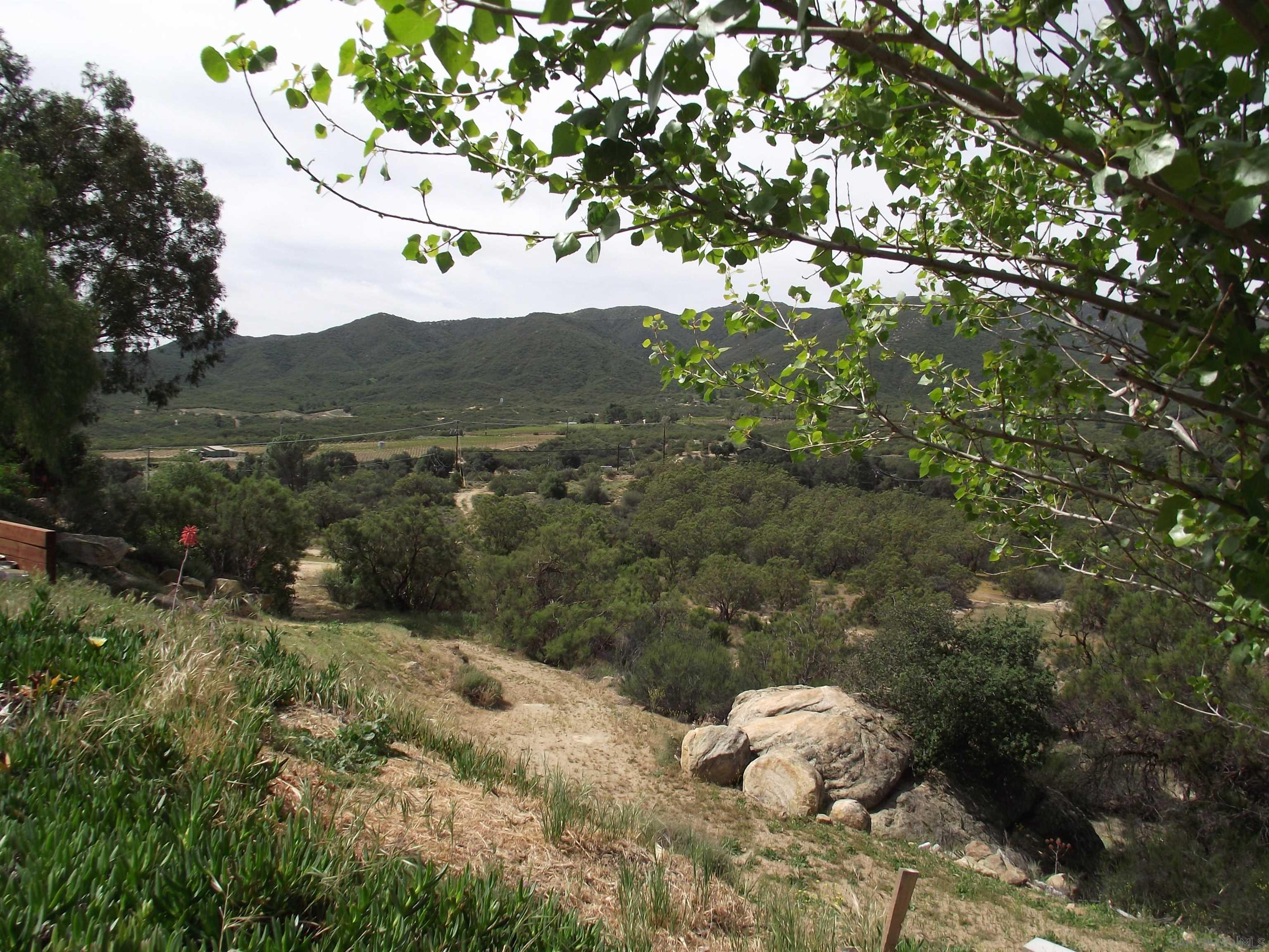 35109 Highway 79, Unit SPACE/ Warner Springs, CA 92086 - Photo 33 of 54 a view of a tree in a yard
