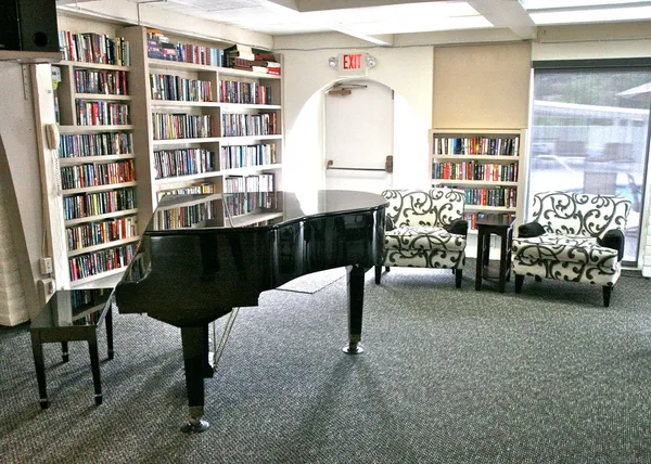 a view of livingroom with furniture and toys