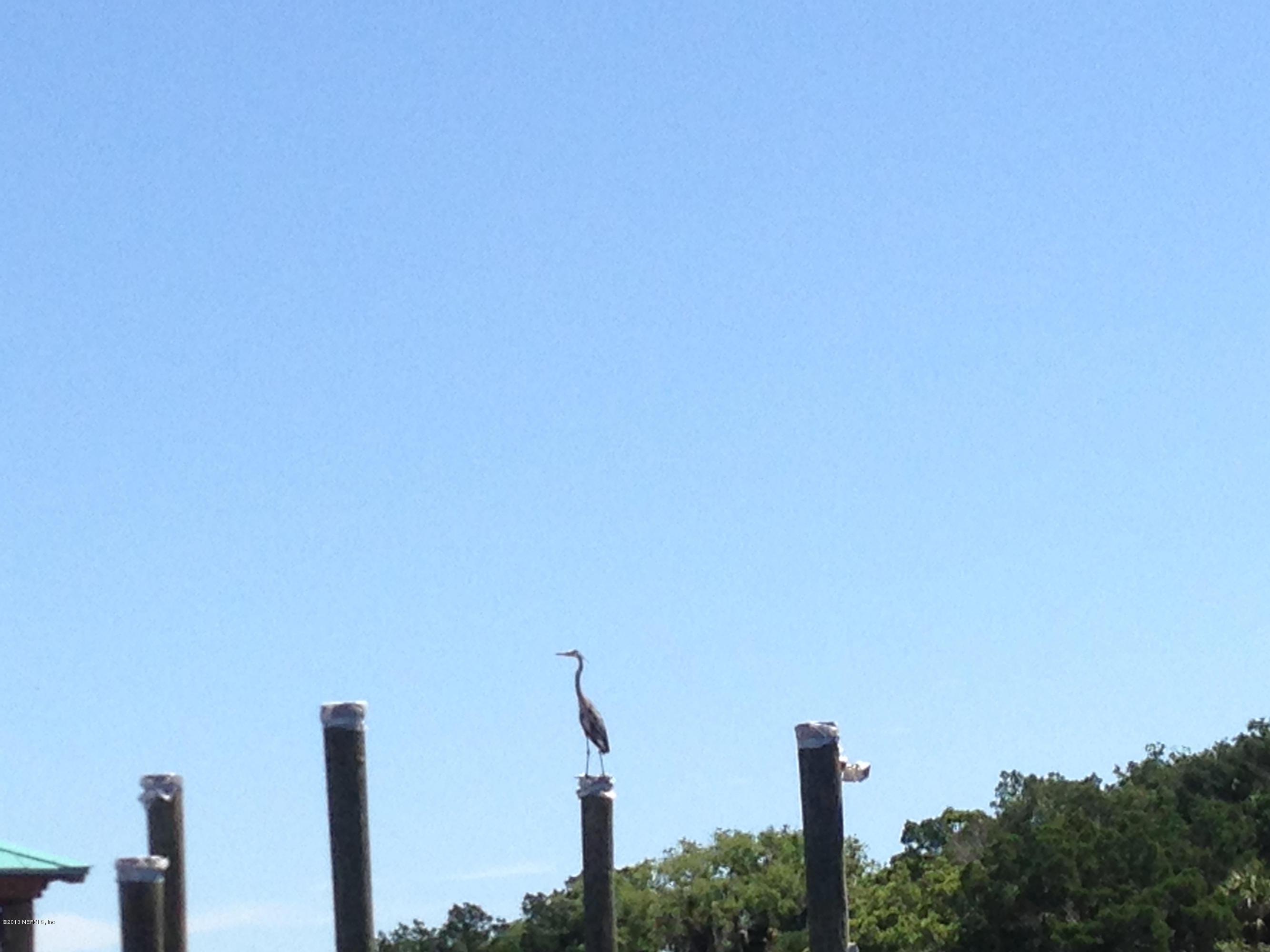 10 Fort George Road Jacksonville, FL 32226 - Photo 15 of 18 Egrets and Seagulls love it too!