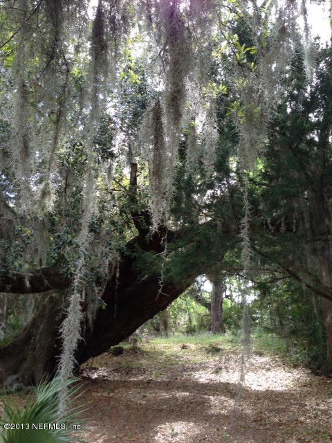 10 Fort George Road Jacksonville, FL 32226 - Photo 16 of 18 Private with beautiful live oak trees!