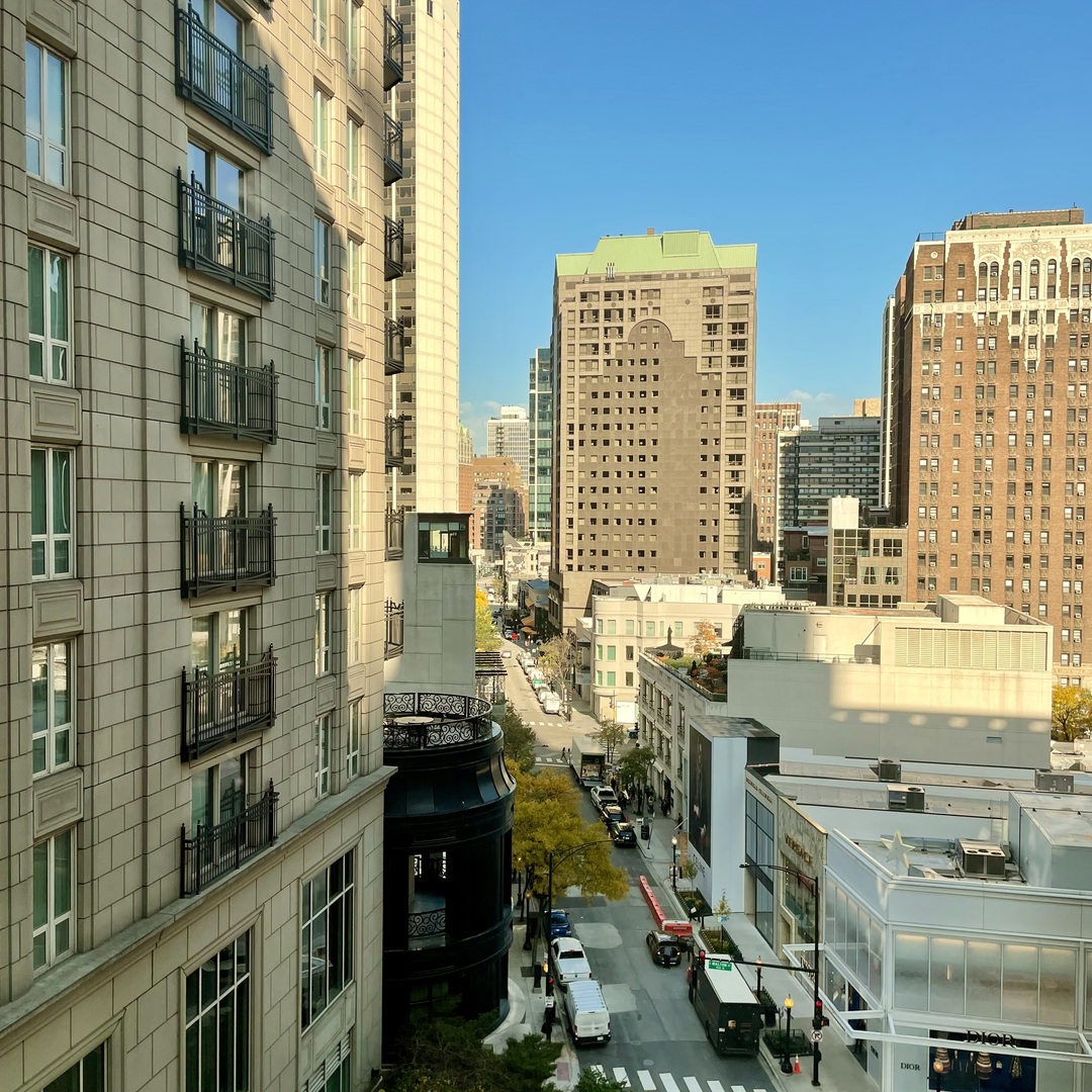 40 East Delaware Place, Unit 1003 Chicago, IL 60611 - Photo 19 of 22 a view of a city with tall buildings