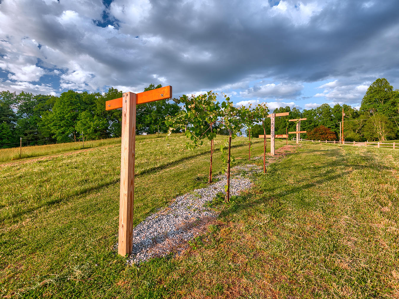 1230 Walters Road Greeneville, TN 37743 - Photo 13 of 30 12