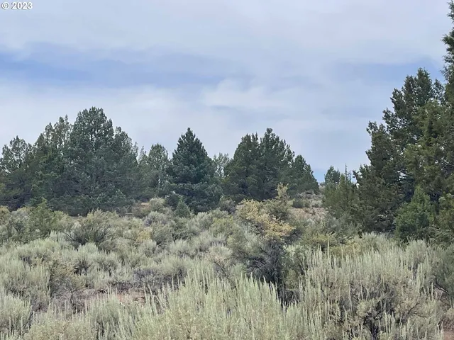 $11,000 | Harney Street, Unit 22, Chiloquin, OR 97624