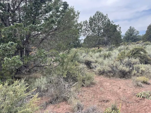 $11,000 | Harney Street, Unit 22, Chiloquin, OR 97624