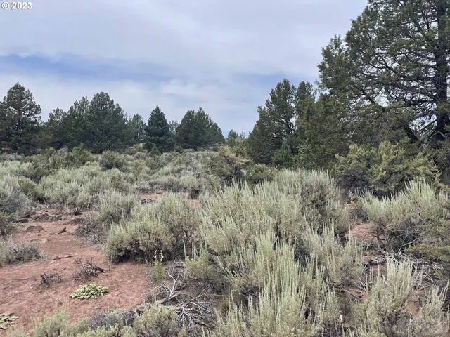 $11,000 | Harney Street, Unit 22, Chiloquin, OR 97624