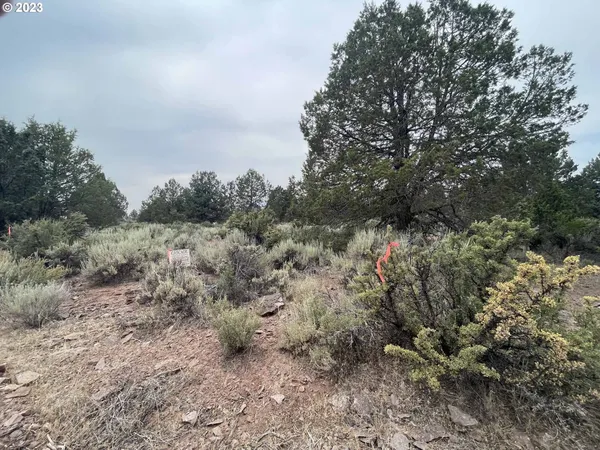 $11,000 | Harney Street, Unit 22, Chiloquin, OR 97624