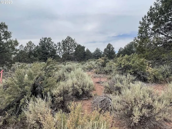 $11,000 | Harney Street, Unit 22, Chiloquin, OR 97624