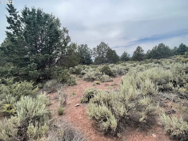 $11,000 | Harney Street, Unit 22, Chiloquin, OR 97624