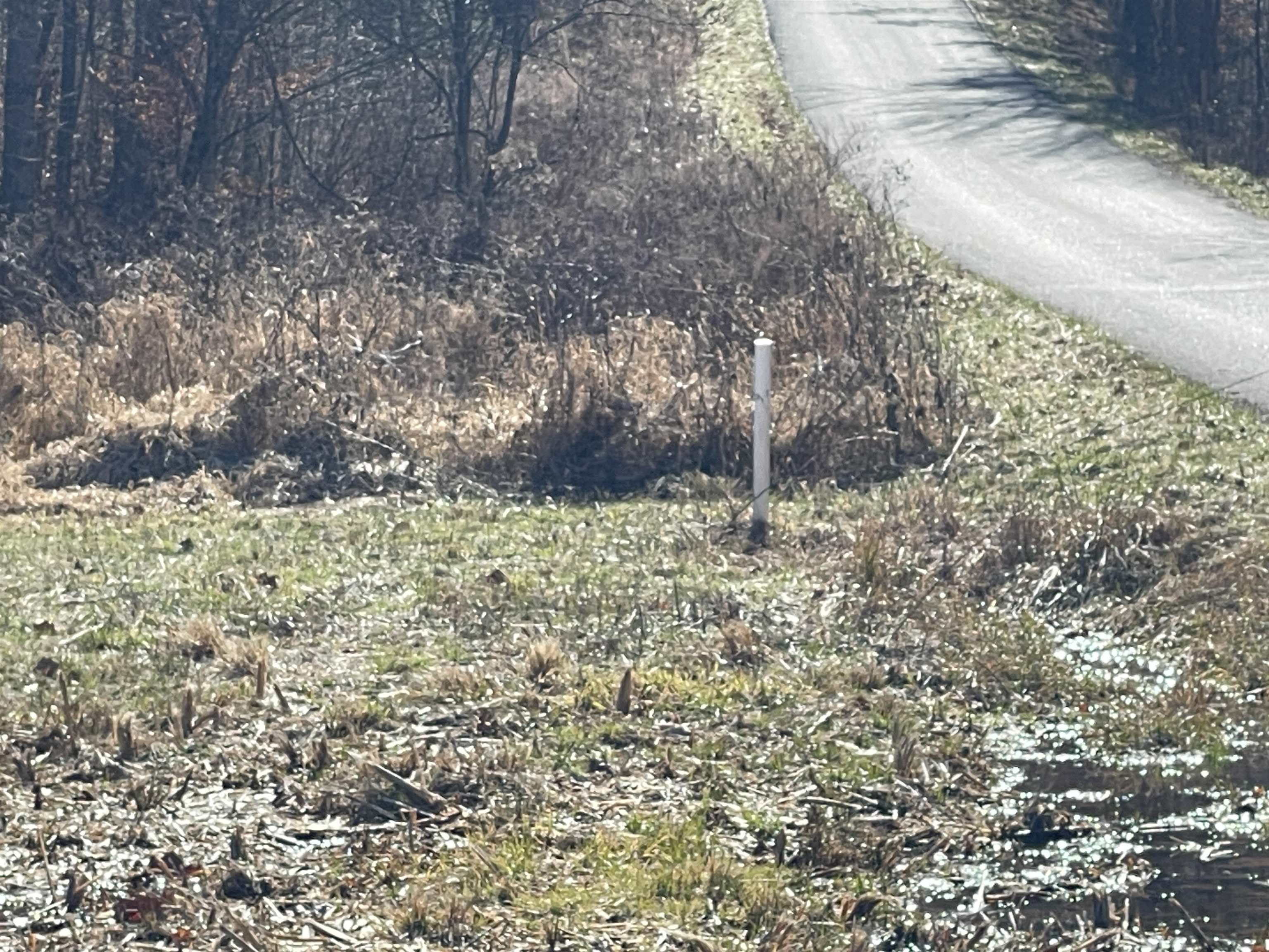 5-acres Culp Creek Road Argillite, KY 41121 - Photo 20 of 20 Gallery Image 20