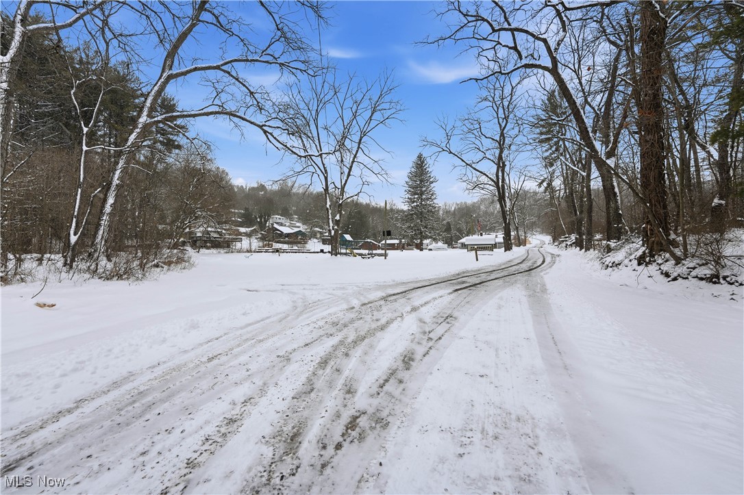4254 Doral Road Southwest Carrollton, OH 44615 - Photo 41 of 46 View of road