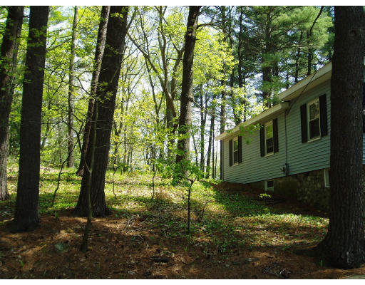 43 Van Norden Road Reading, MA 01867 - Photo 3 of 7 Gallery Image 3