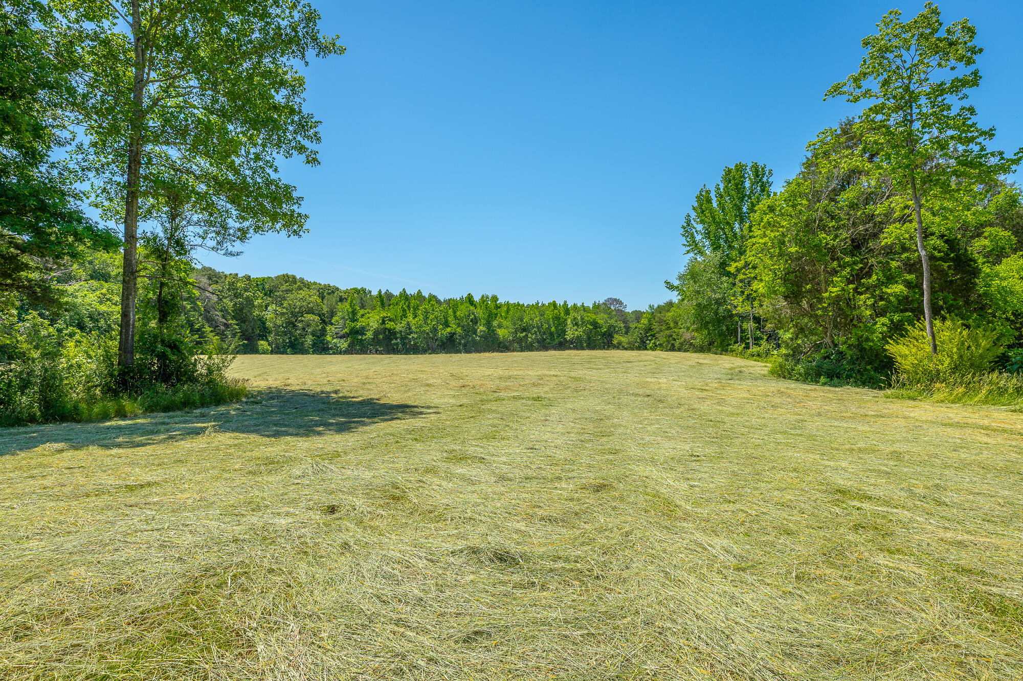 1655 West Cove Road Chickamauga, GA 30707 - Photo 40 of 62 1655 W Cove Road HD-61