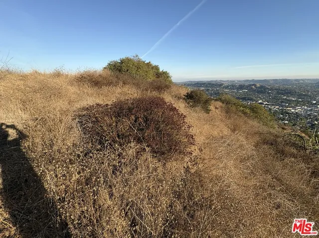 a view of city and green space