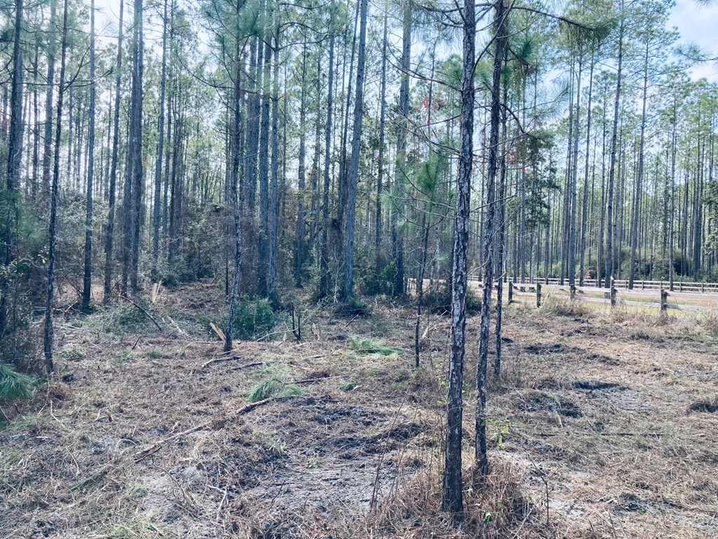 5 New River Harbor Road Carrabelle, FL 32322 - Photo 11 of 21