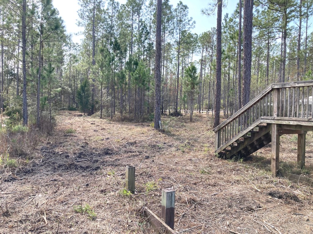 5 New River Harbor Road Carrabelle, FL 32322 - Photo 14 of 21