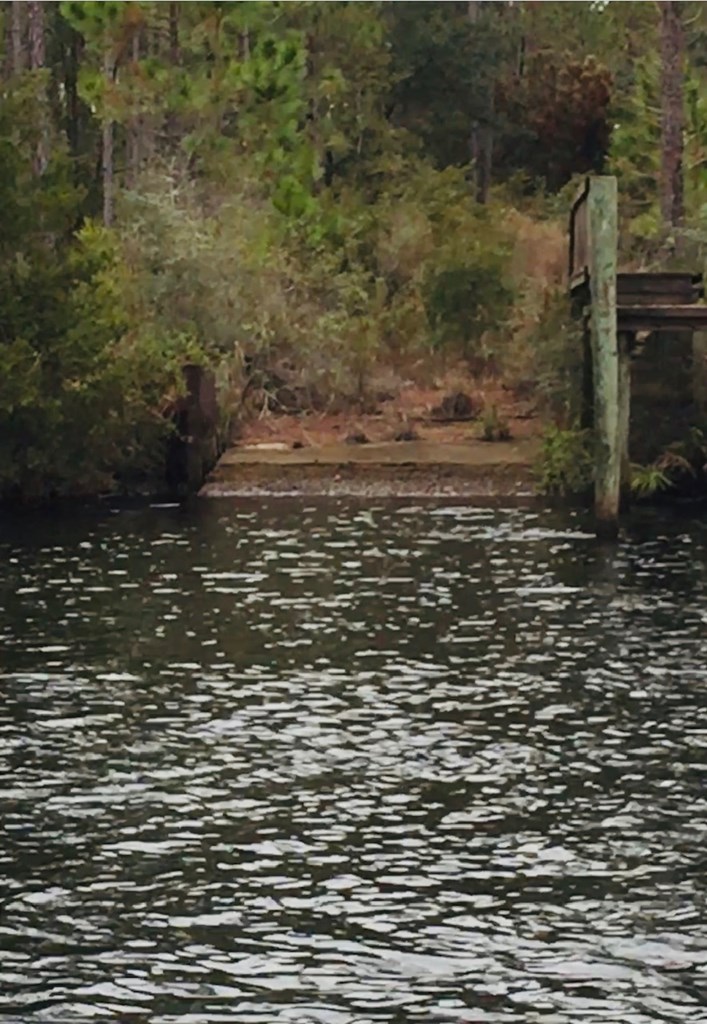 5 New River Harbor Road Carrabelle, FL 32322 - Photo 15 of 21