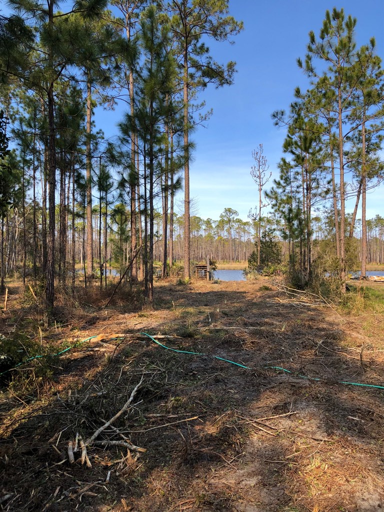 5 New River Harbor Road Carrabelle, FL 32322 - Photo 16 of 21