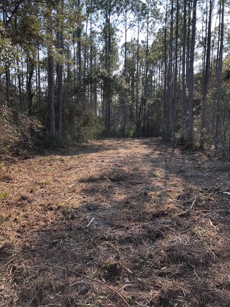 5 New River Harbor Road Carrabelle, FL 32322 - Photo 17 of 21