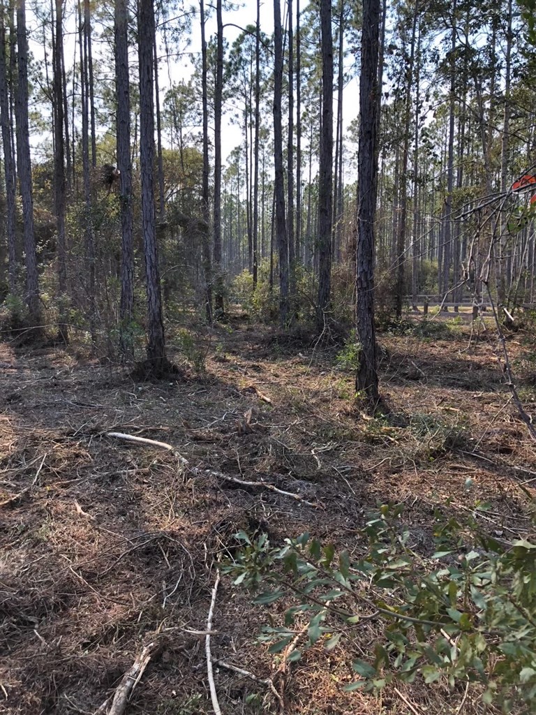 5 New River Harbor Road Carrabelle, FL 32322 - Photo 18 of 21