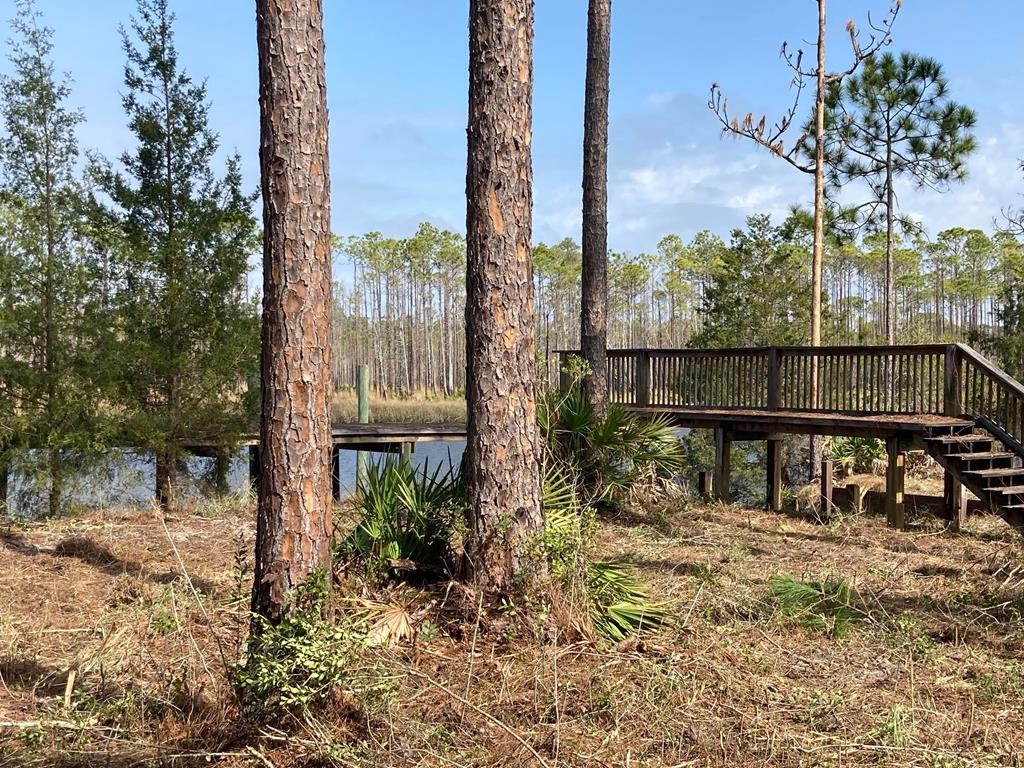 5 New River Harbor Road Carrabelle, FL 32322 - Photo 21 of 21
