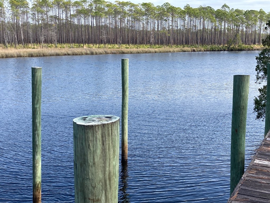 5 New River Harbor Road Carrabelle, FL 32322 - Photo 6 of 21