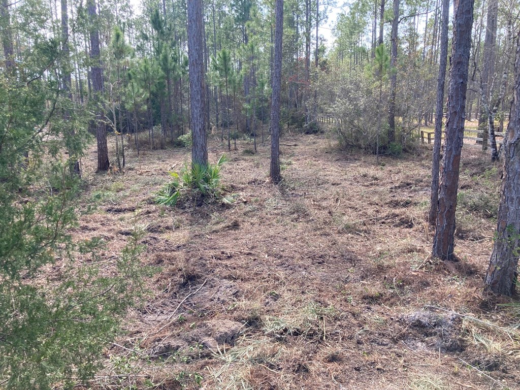 5 New River Harbor Road Carrabelle, FL 32322 - Photo 10 of 21