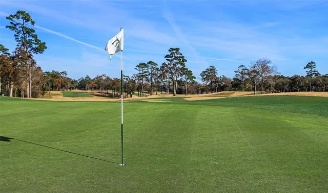 a view of a golf course with a lake