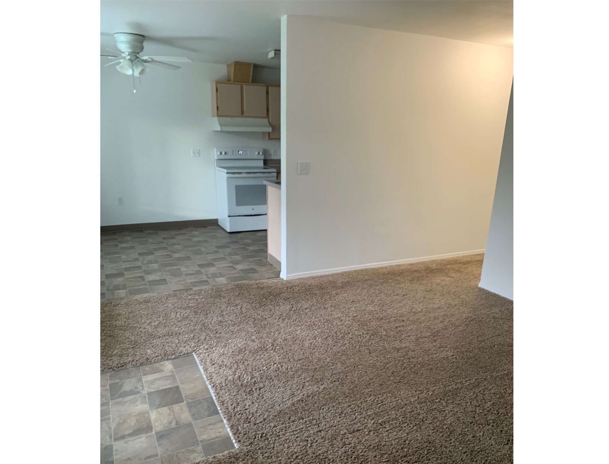 445 Carter Avenue Friday Harbor, WA 98250 - Photo 9 of 10